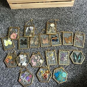 Glass frame butterfly pressed flower lot